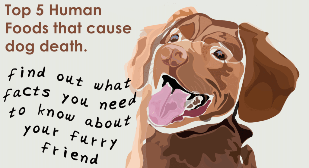 Top 5 foods that cause dog death. Voyager Medical